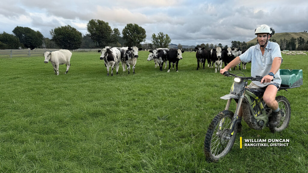 William Duncan from Rangitikei on his dairy farm riding a Surron electric farm bike