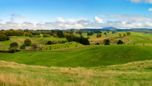 Rural NZ farm
